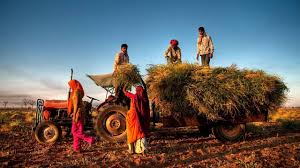 Agriculture
